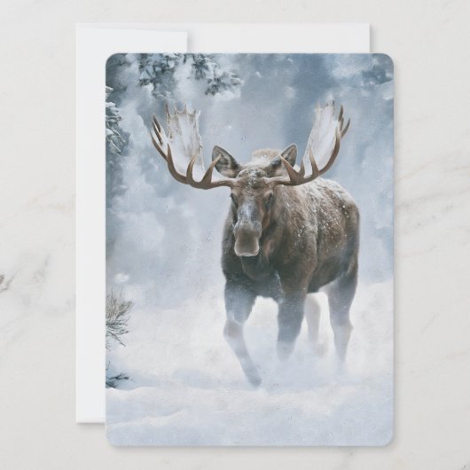 Elchbulle beim Durchqueren von borealem Schnee (Vorderseite)