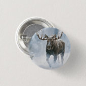 Elchbulle beim Durchqueren von borealem Schnee Button (Vorne & Hinten)