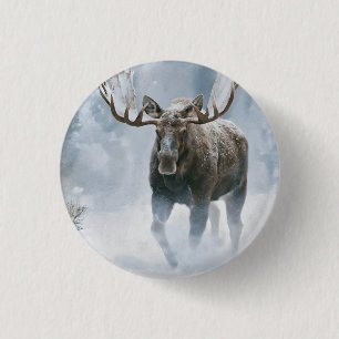 Elchbulle beim Durchqueren von borealem Schnee Button