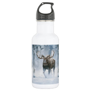 Elchbulle beim Durchqueren von borealem Schnee Edelstahlflasche