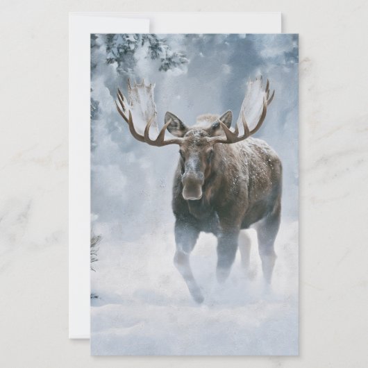 Elchbulle durchquert borealen Schnee Briefpapier (Vorderseite)