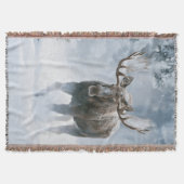Elchbulle durchquert borealen Schnee Decke (Vorderseite)
