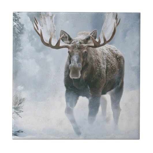Elchbulle durchquert borealen Schnee Fliese (Vorderseite)