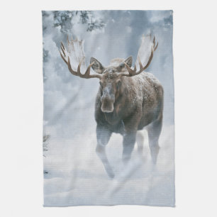 Elchbulle durchquert borealen Schnee Geschirrtuch
