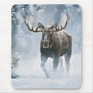 Elchbulle durchquert borealen Schnee Mousepad