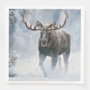 Elchbulle durchquert borealen Schnee Serviette