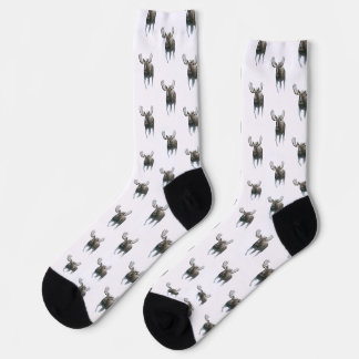 Elchbulle durchquert borealen Schnee Socken