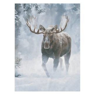 Elchbulle durchquert borealen Schnee Tischdecke
