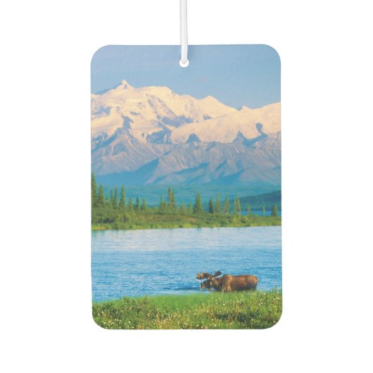 Elchbulle im Wonder Lake Autolufterfrischer (Vorderseite)