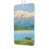 Elchbulle im Wonder Lake Autolufterfrischer (Links)