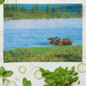 Elchbulle im Wonder Lake Geschirrtuch (Gefaltet)