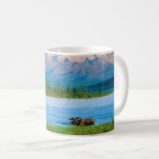 Elchbulle im Wonder Lake Kaffeetasse (VorderseiteRechts)