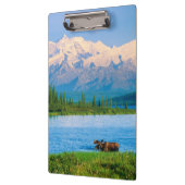 Elchbulle im Wonder Lake Klemmbrett (Links)