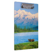 Elchbulle im Wonder Lake Klemmbrett (Rechts)