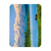 Elchbulle im Wonder Lake Magnet (Vertikal)