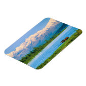 Elchbulle im Wonder Lake Magnet (Linke Seite)