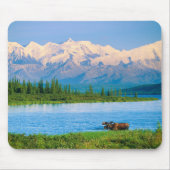 Elchbulle im Wonder Lake Mousepad (Vorne)