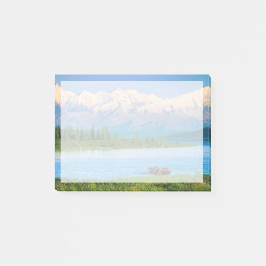 Elchbulle im Wonder Lake Post-it Klebezettel (Vorderseite)