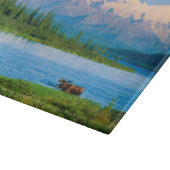 Elchbulle im Wonder Lake Schneidebrett (Ecke)
