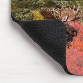 Elchbulle Steht In Roter Zwergbirke Mousepad (Ecke)