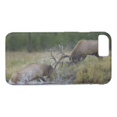 Elchbullen kämpfen, Yellowstone NP, Wyoming Case-Mate iPhone Hülle (Rückseite (Horizontal))