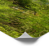 Elche. 23 poster (Ecke)