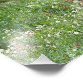 Elche (Alces alces alces) in Wildblumen, Fotodruck (Ecke)