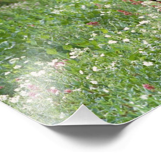 Elche (Alces alces alces) in Wildblumen, Fotodruck (Ecke)