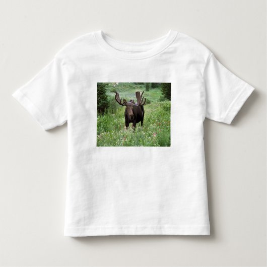 Elche (Alces alces alces) in Wildblumen, Kleinkind T-shirt (Vorderseite)