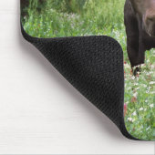 Elche (Alces alces alces) in Wildblumen, Mousepad (Ecke)