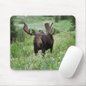 Elche (Alces alces alces) in Wildblumen, Mousepad (Mit Mouse)