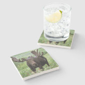 Elche (Alces alces alces) in Wildblumen, Steinuntersetzer (Seitenansicht)