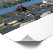 Elche am Sandy Stream Pond Poster (Ecke)