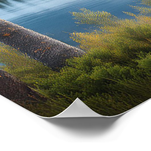 Elche am See 4 Poster (Ecke)