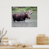 Elche an einer Mission Poster (Küche)