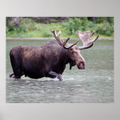 Elche an einer Mission Poster (Vorne)