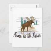 Elche auf der Loose! Postkarte (Vorne/Hinten)