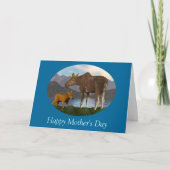 Elche auf der Wiese Karte (Vorderseite)