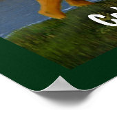 Elche auf der Wiese Poster (Ecke)