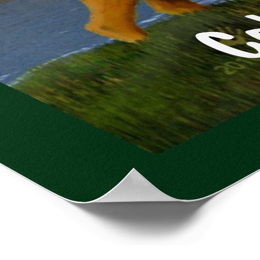 Elche auf der Wiese Poster (Ecke)