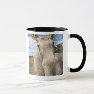 Elche auf einem Feld, Schweden Tasse