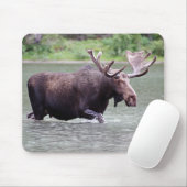 Elche auf einer Dienstreise Mousepad (Mit Mouse)