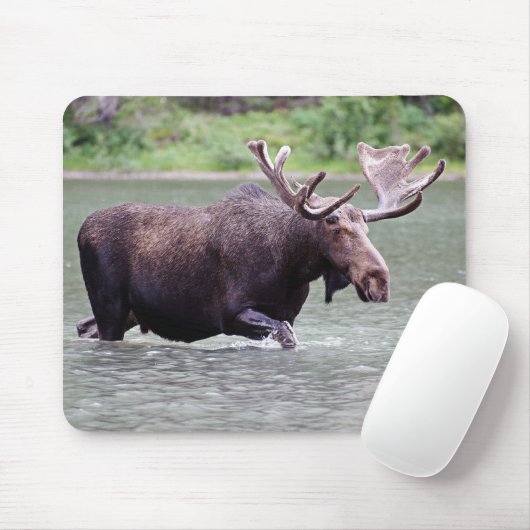 Elche auf einer Dienstreise Mousepad (Mit Mouse)