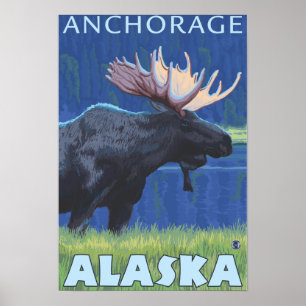 Elche bei Nacht - Ankerplatz, Alaska Poster
