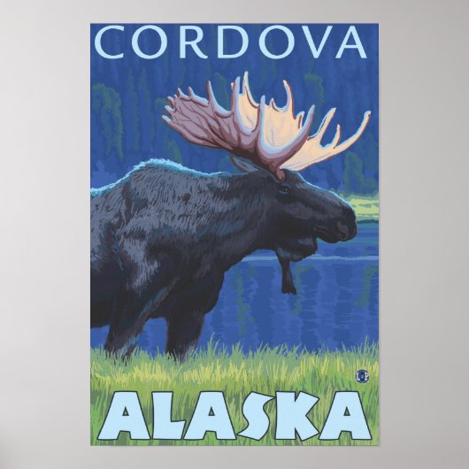 Elche bei Nacht - Cordoba, Alaska Poster (Vorne)