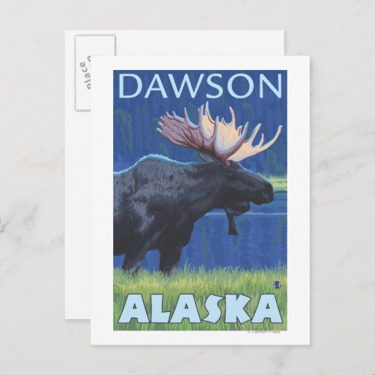 Elche bei Nacht - Dawson, Alaska Postkarte (Vorne/Hinten)