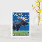 Elche bei Nacht - Glacier National Park, MT Karte (Gelbe Blume)