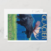 Elche bei Nacht - Glacier National Park, MT Postkarte (Vorne/Hinten)