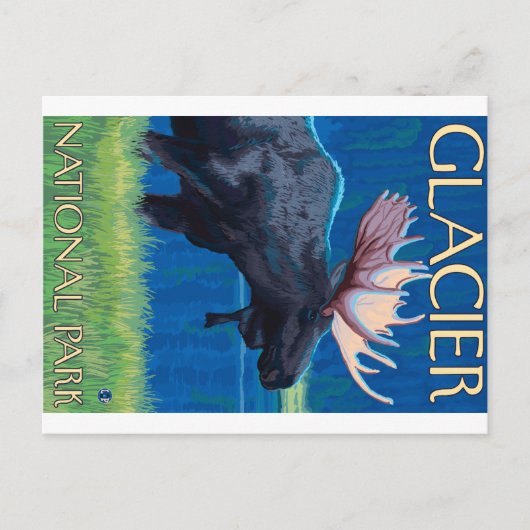 Elche bei Nacht - Glacier National Park, MT Postkarte (Vorderseite)