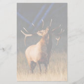 Elche Briefpapier (Vorderseite)